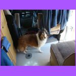 Belle Inside Halleluiah.jpg